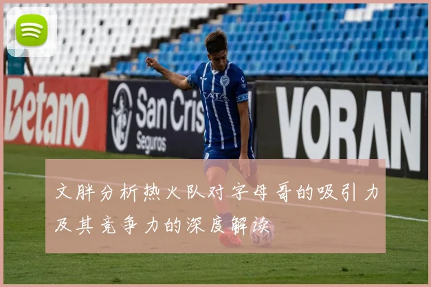 文胖分析热火队对字母哥的吸引力及其竞争力的深度解读